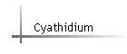 Cyathidium